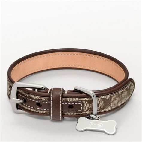 cheap coach dog collars|coach dog collars small.